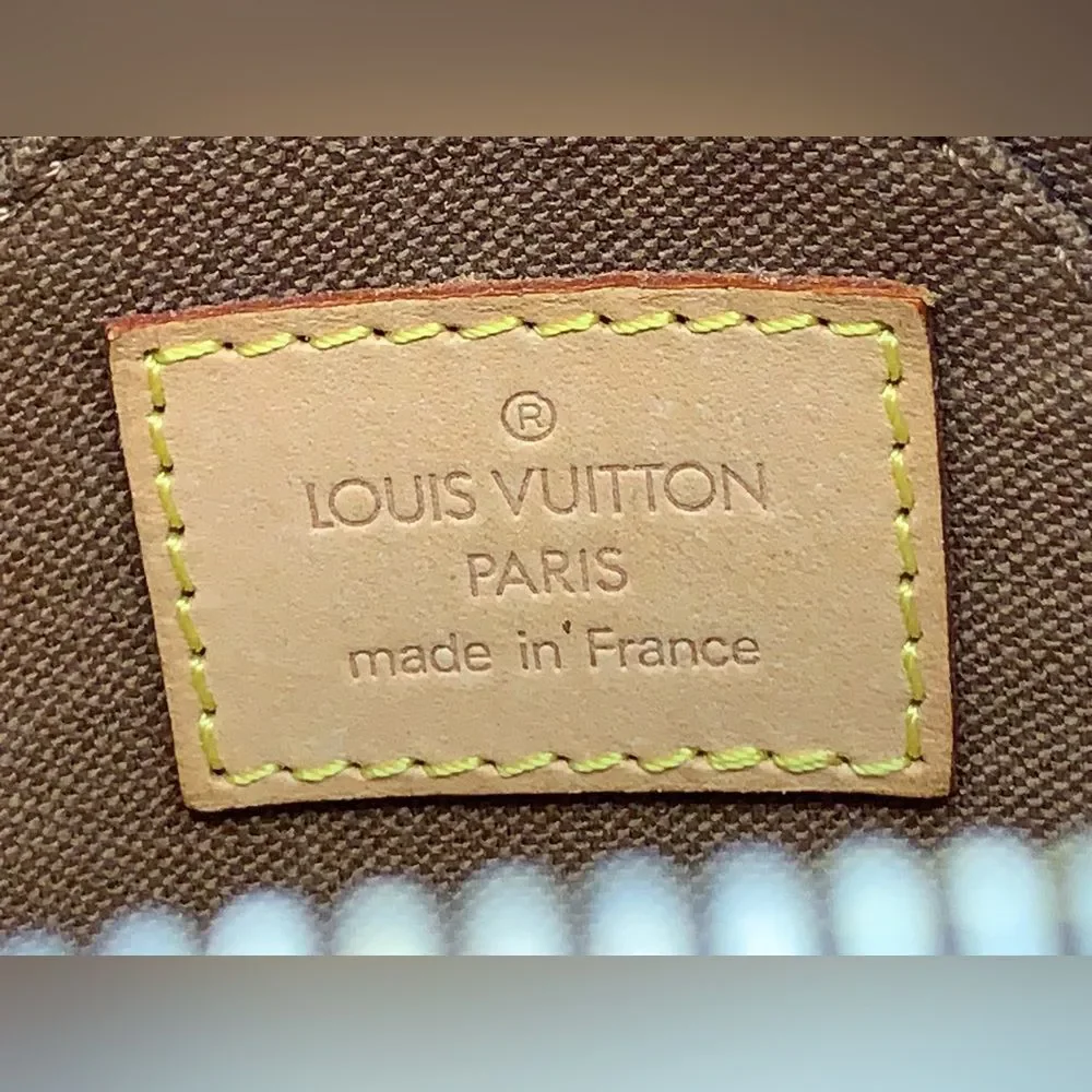 Extremely Rare! Louis Vuitton Monogram Mini Ellipse